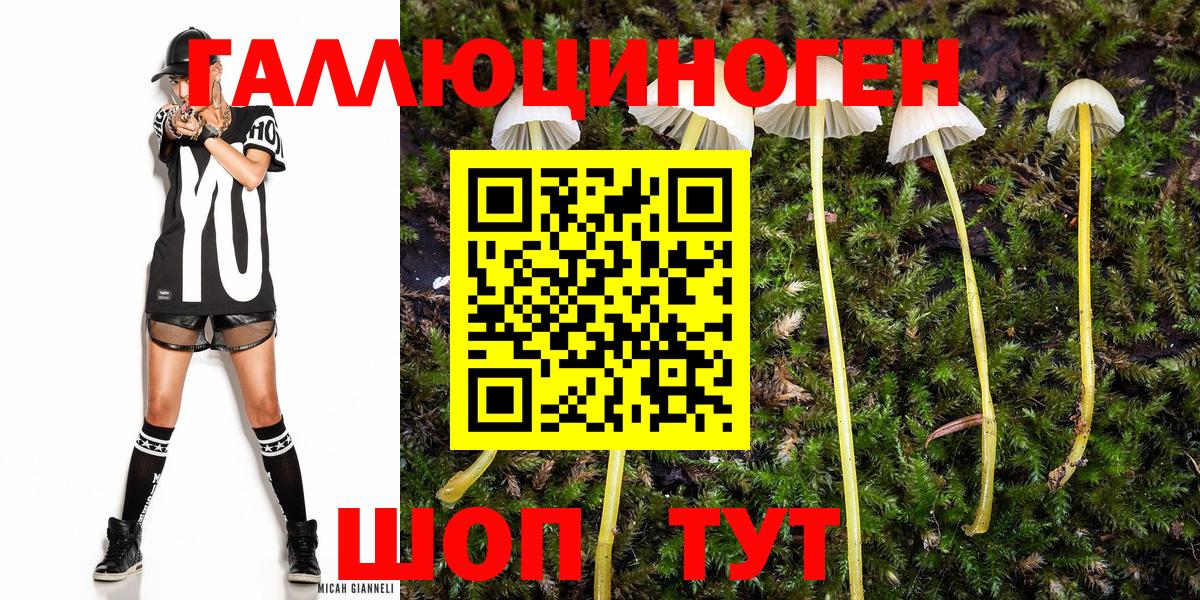 Псилоцибиновые грибы прущие грибы Бирск