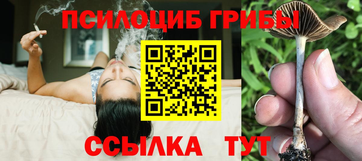 Псилоцибиновые грибы MAGIC MUSHROOMS  как найти закладки  Бирск  Вход с VPN 